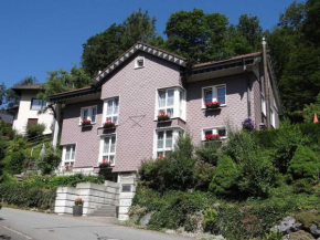 Apartment Barmettlenstrasse 26 by Interhome Engelberg